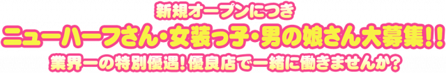 新規オープンにつきニューハーフさん・女装っ子・男の娘さん大募集！業界一の特別待遇！優良店で一緒に働きませんか？